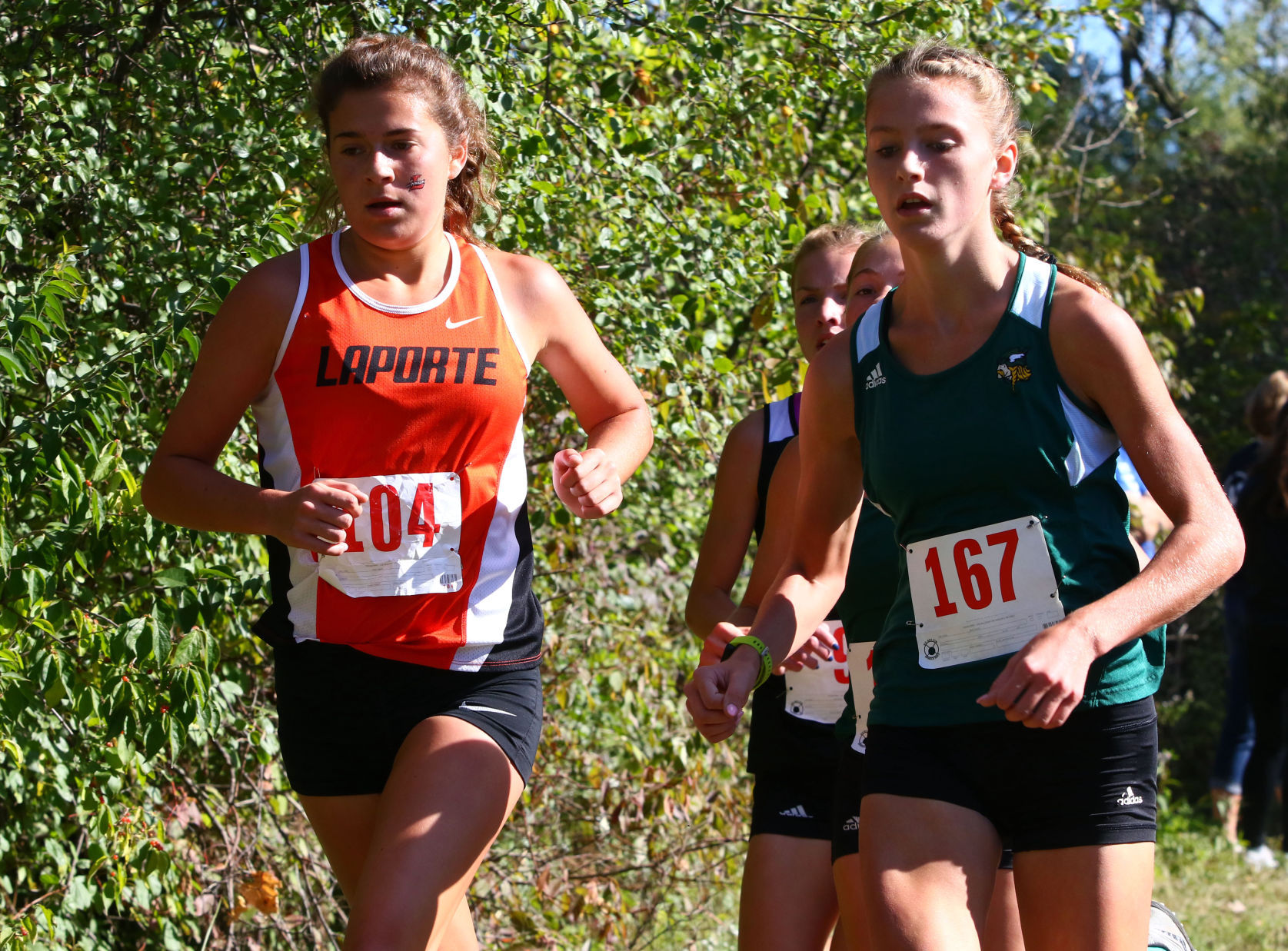 Gallery: Duneland Athletic Conference cross country meet